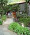 Bild Ferienhaus Madeira  Casa da Glicinia bei Ribeira Brava, S�dwest - Madeira